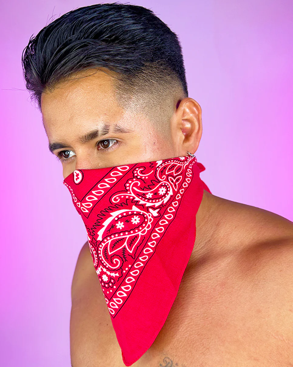 Basic Paisley Unisex Face Bandanna Mask - Image 9